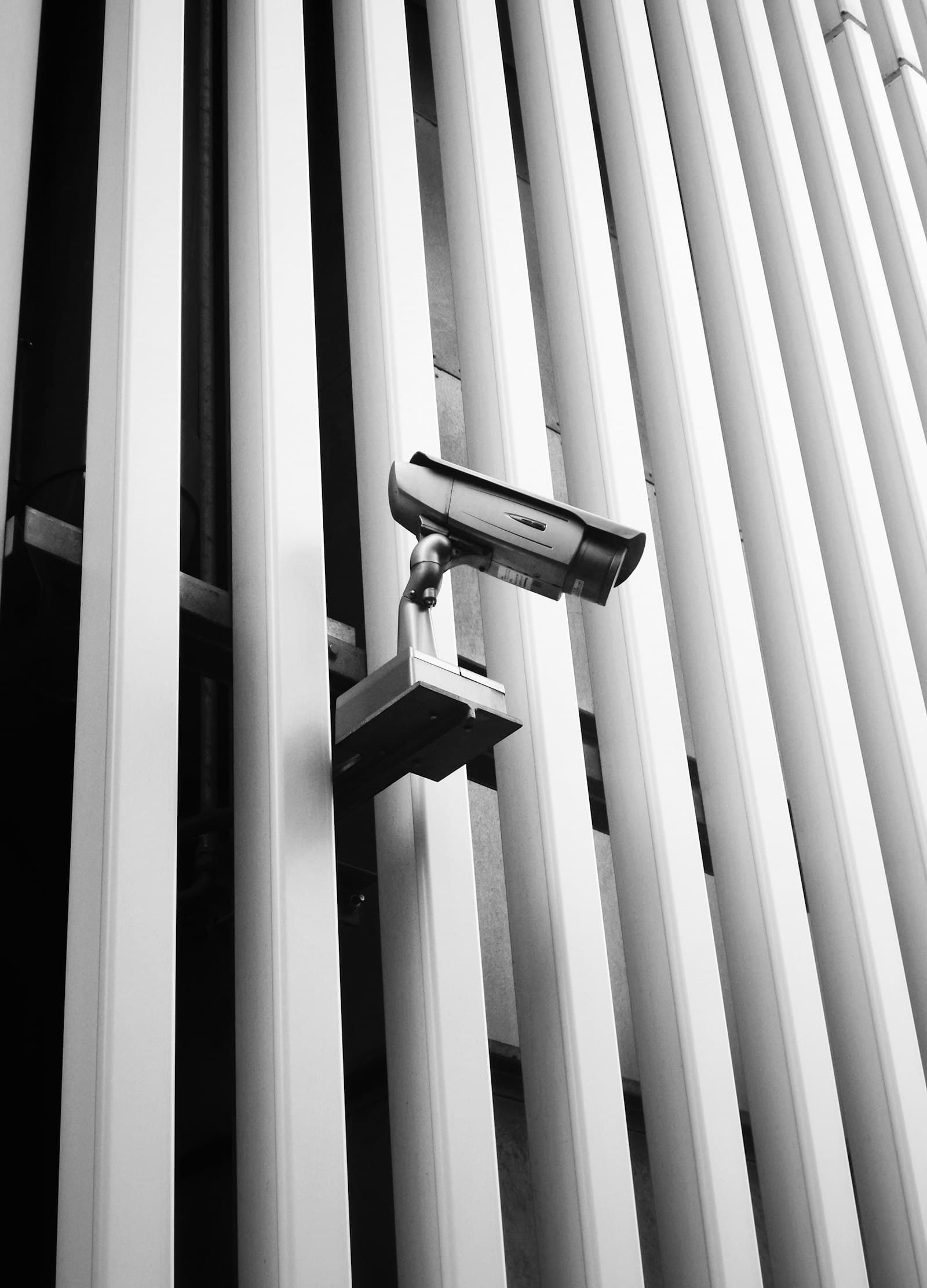 IP Cameras